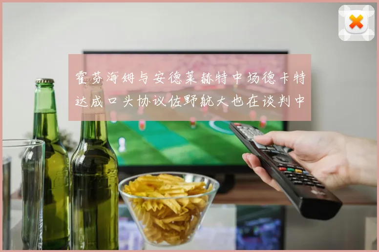霍芬海姆与安德莱赫特中场德卡特达成口头协议佐野航大也在谈判中