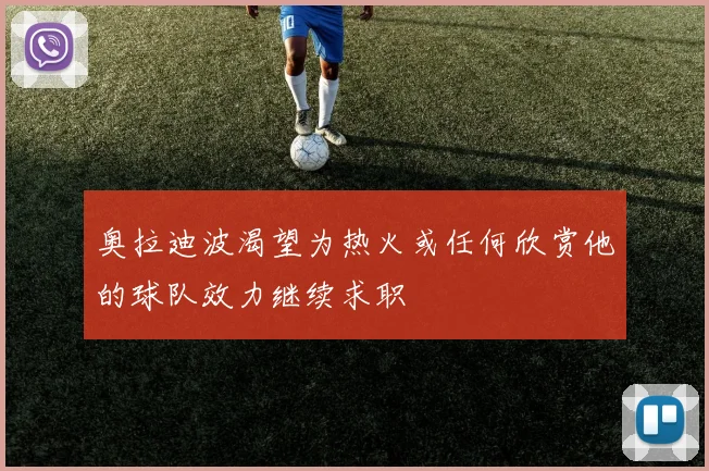 奥拉迪波渴望为热火或任何欣赏他的球队效力继续求职